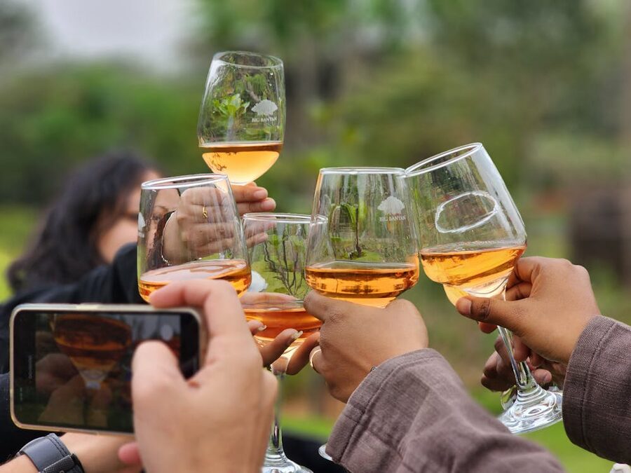 Group of friends raising wine glasses in a toast outdoors at a Finger Lakes vineyard