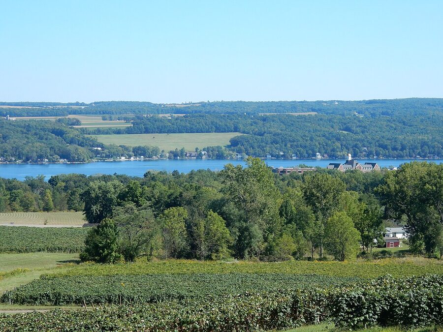 Keuka Lake from Vineyard View Winery looking east on a clear day