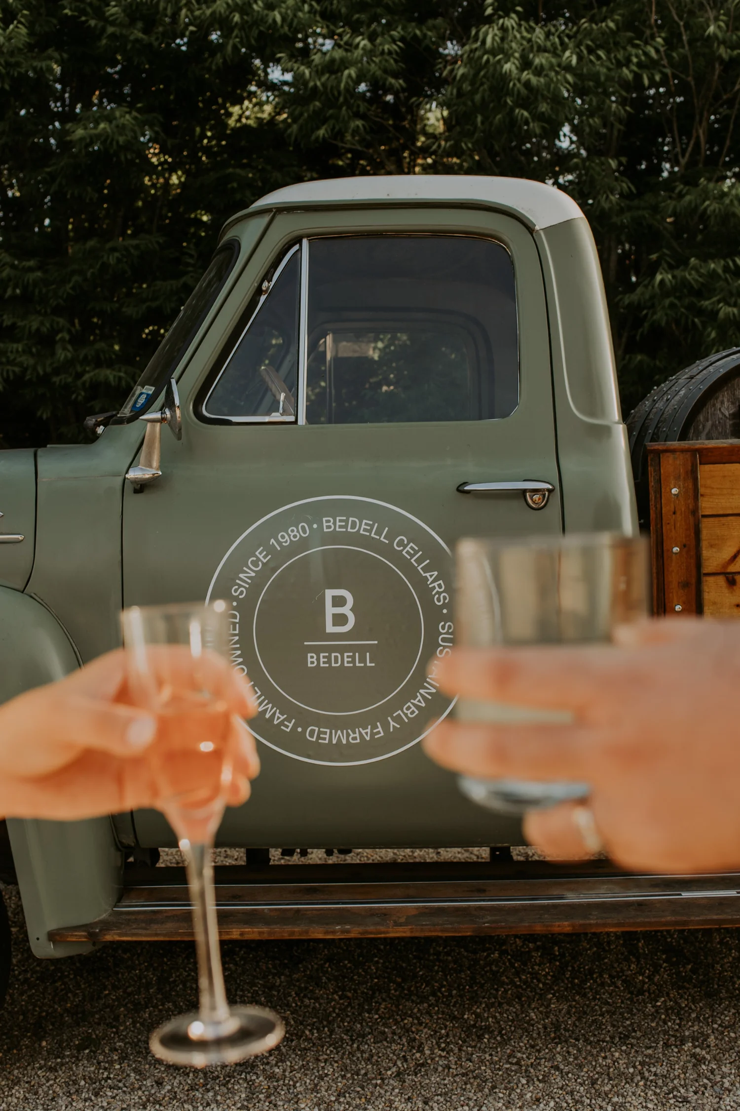 Vines at Bedell Cellars on the North Fork