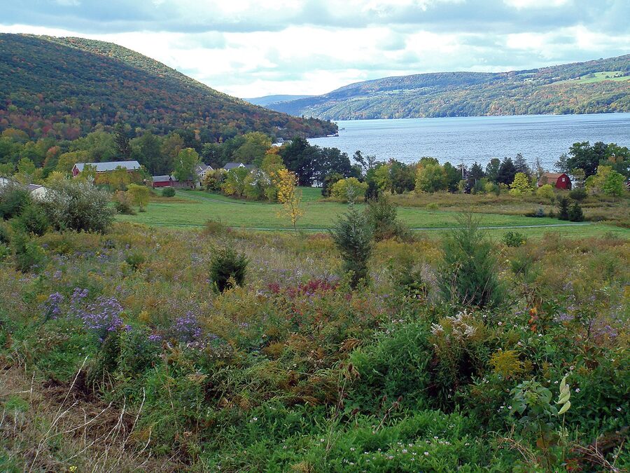 Canandaigua Lake from the western shore