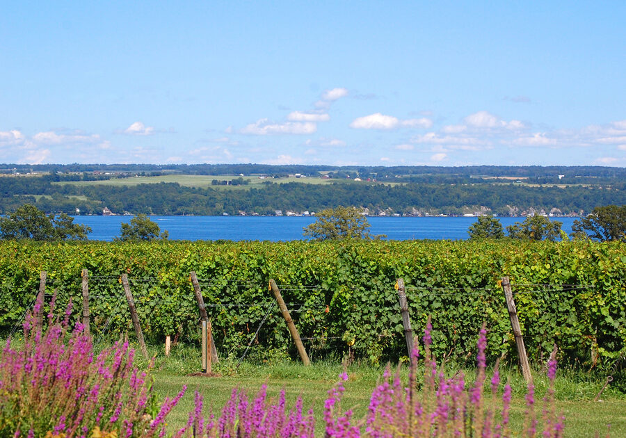 Cayuga Lake from the shoreline