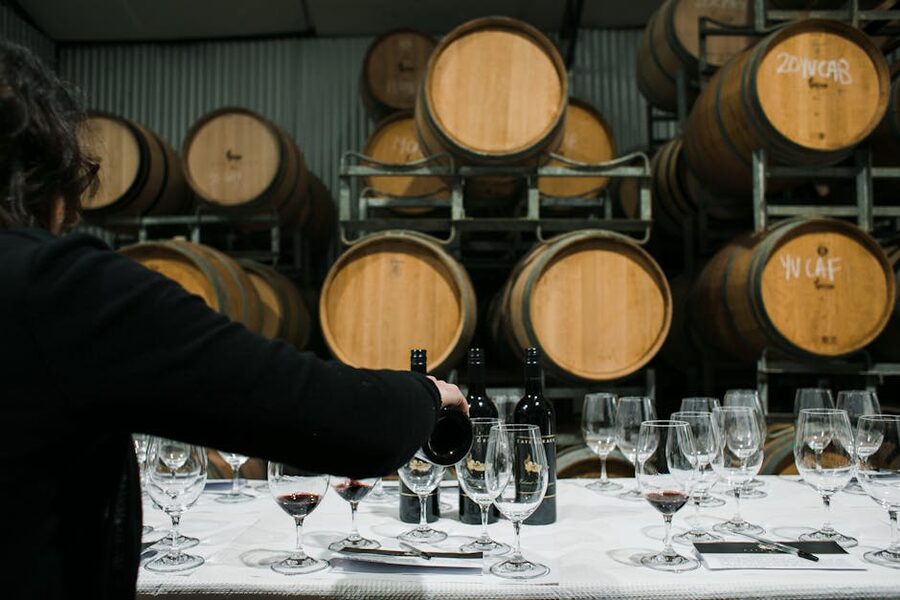 Sommelier pouring wine in a tasting room
