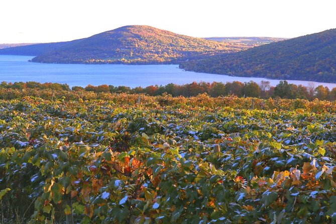 Canandaigua Wine Trail Experience tour