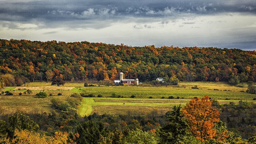 Autumn vineyards near Seneca Lake, Finger Lakes