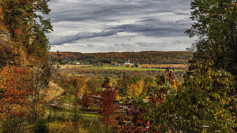 Aerial view of autumn vineyards along Seneca Lake