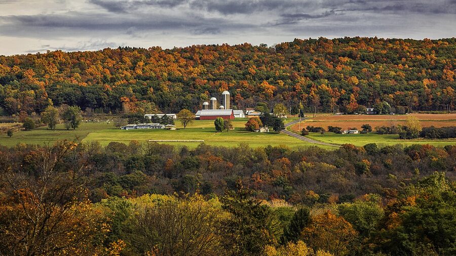Vineyards in autumn along Seneca Lake