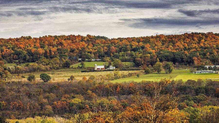 Autumn shoreline along Seneca Lake
