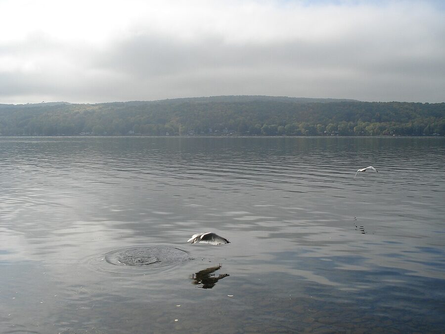 Honeoye Lake NY