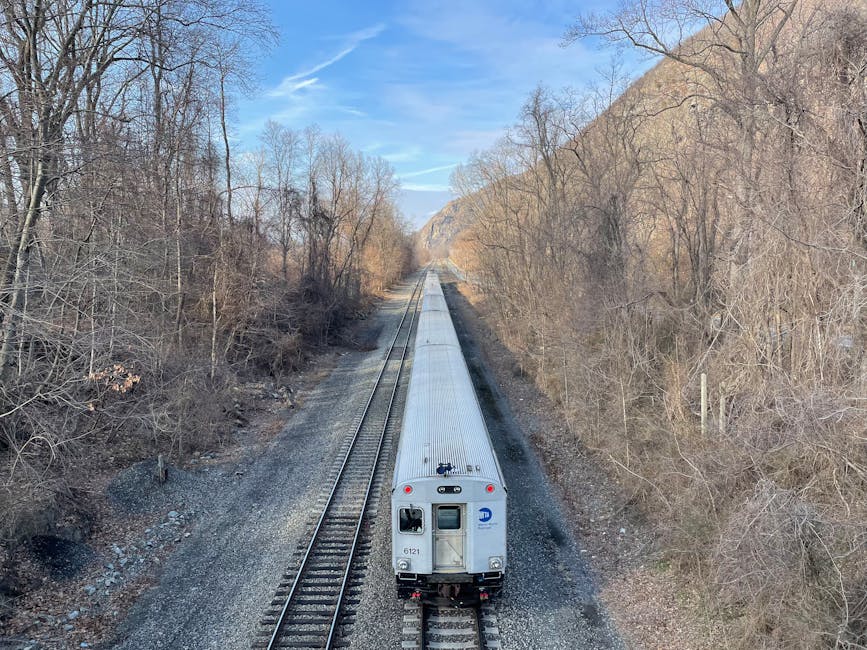 Train running through bare winter trees and clear sky