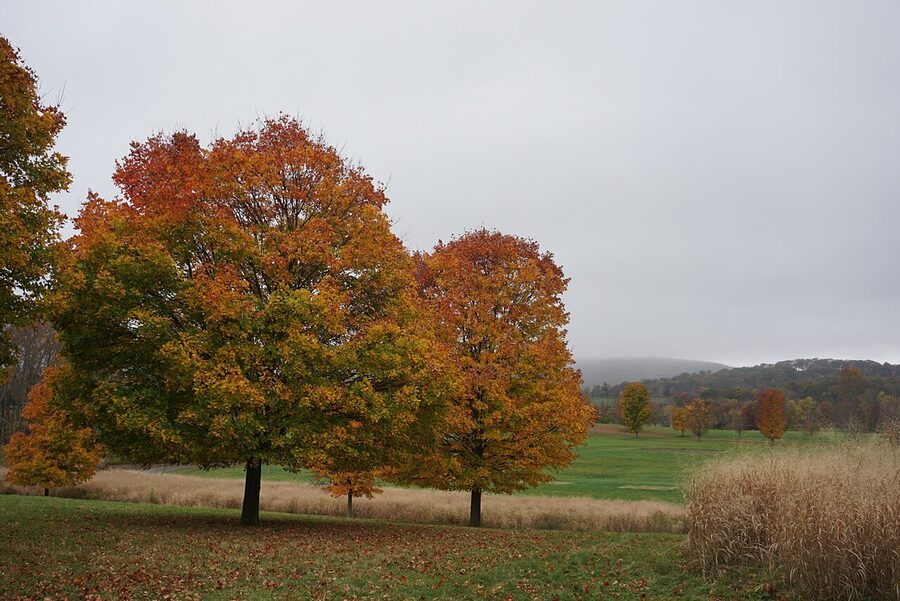 Sculpture and rolling lawn at Storm King Art Center in Mountainville NY