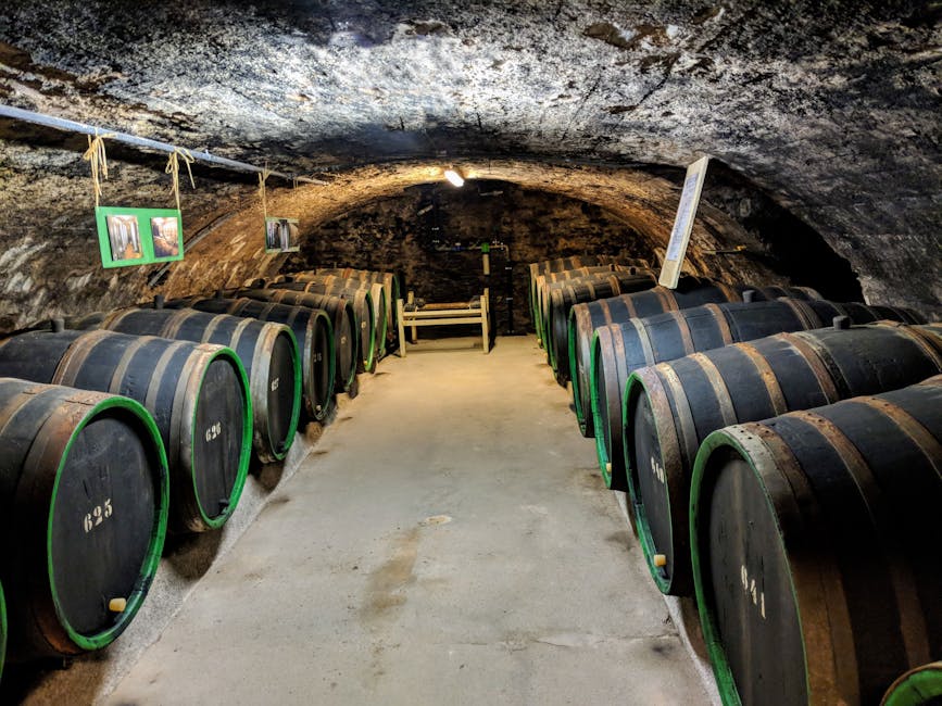 Oak barrels in a winery cellar the same kind used for Lamoreaux Landing's barrel-aged Chardonnay