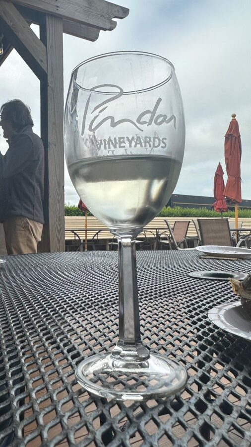 Group of 14 wine-tour guests at a long pergola table at a Long Island North Fork winery