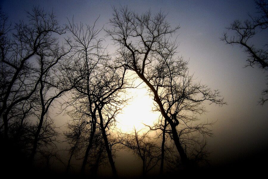 Winter sunrise on the North Fork of Long Island, the off-season view from a Macari visit