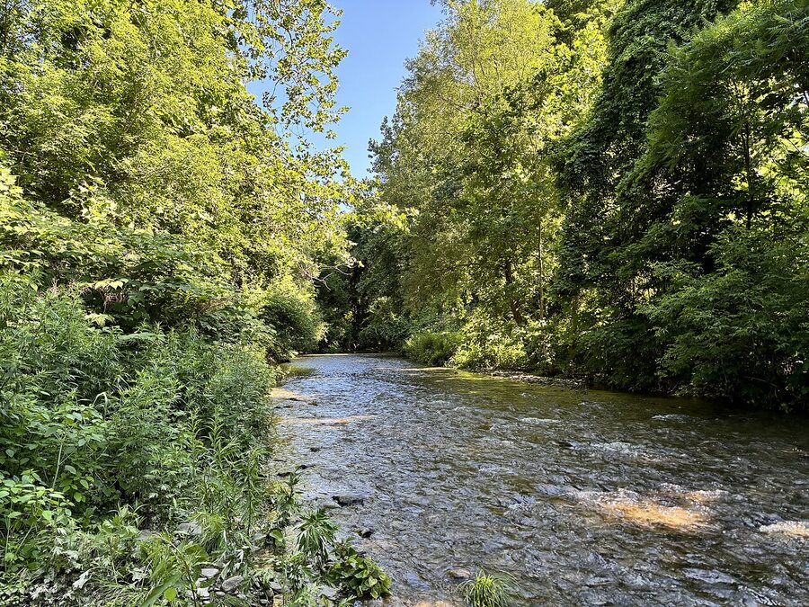 Naples Creek Naples NY
