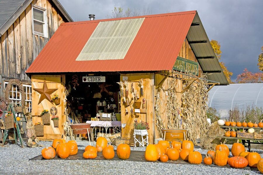 A farm stand with pumpkins and autumn decor