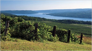 Crush Beer and Wine Tours Keuka tour scene