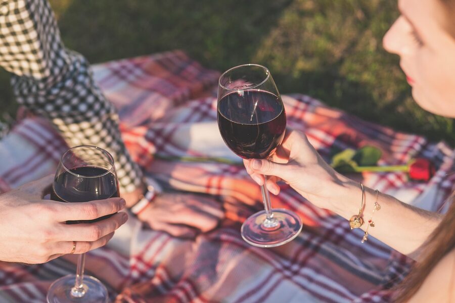 A couple toasting wine glasses at an outdoor picnic