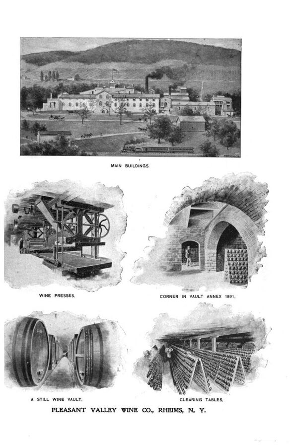 Pleasant Valley Wine Company interior in 1899