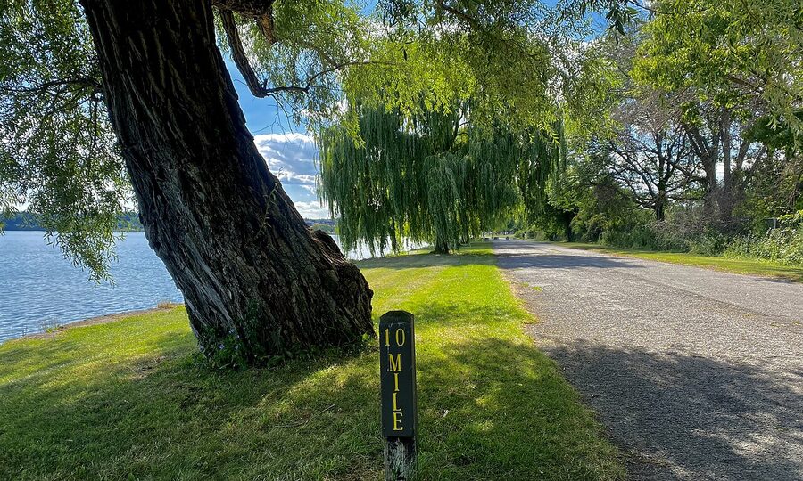 Mile marker at Seneca Lake State Park, Geneva NY