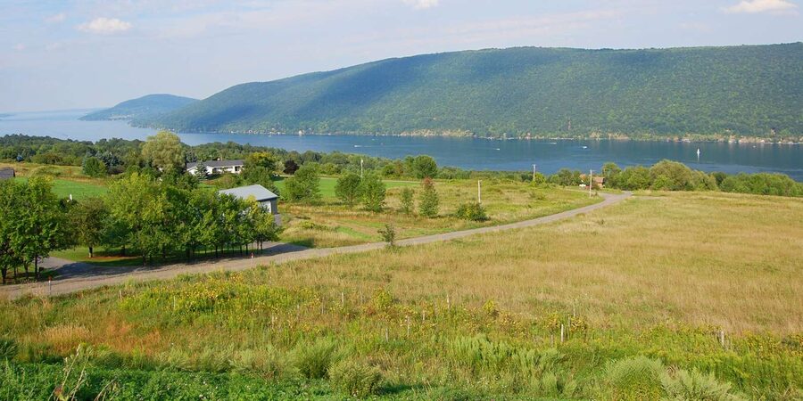 GetYourGuide Finger Lakes wine tasting tours overview hero