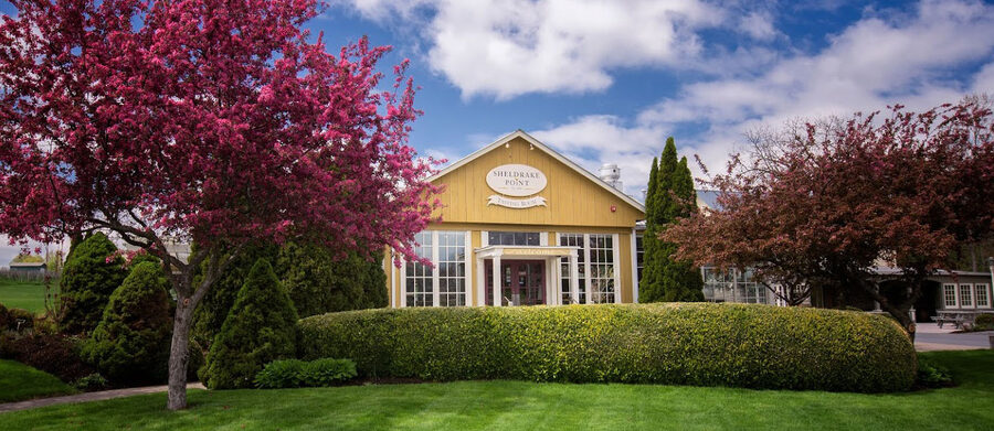 Sheldrake Point Winery tasting room interior, the long bar that runs the length of the wall