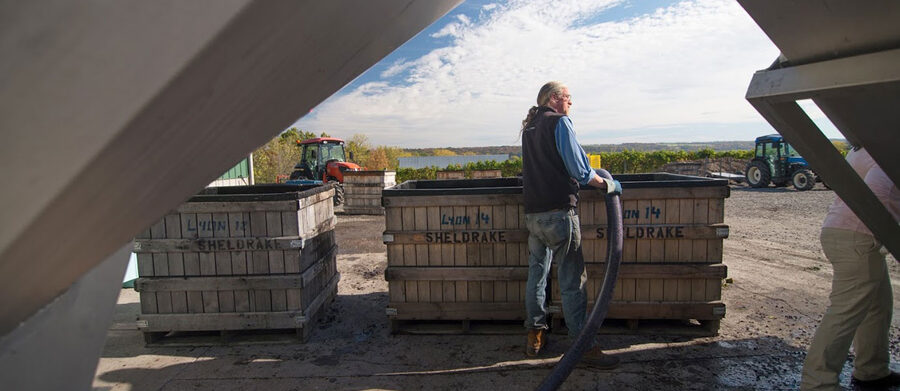 Sheldrake Point winemaker Dave Breeden at work in the cellar