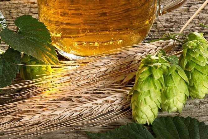 Canandaigua Lake Brewery Tour Viator hero