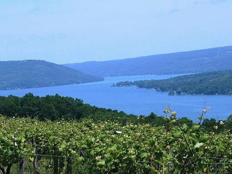 Keuka Lake Winery Tour from Ithaca on Viator