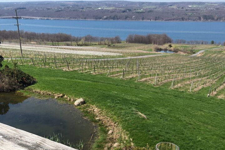 Seneca Lake South Wine Tastings Tour on Viator, the canonical Wagner-inclusive bus tour out of Ithaca