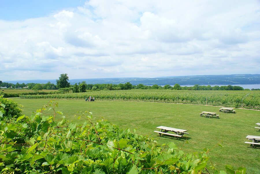 Vineyards above Seneca Lake near Lodi, the east-side terroir Wagner farms