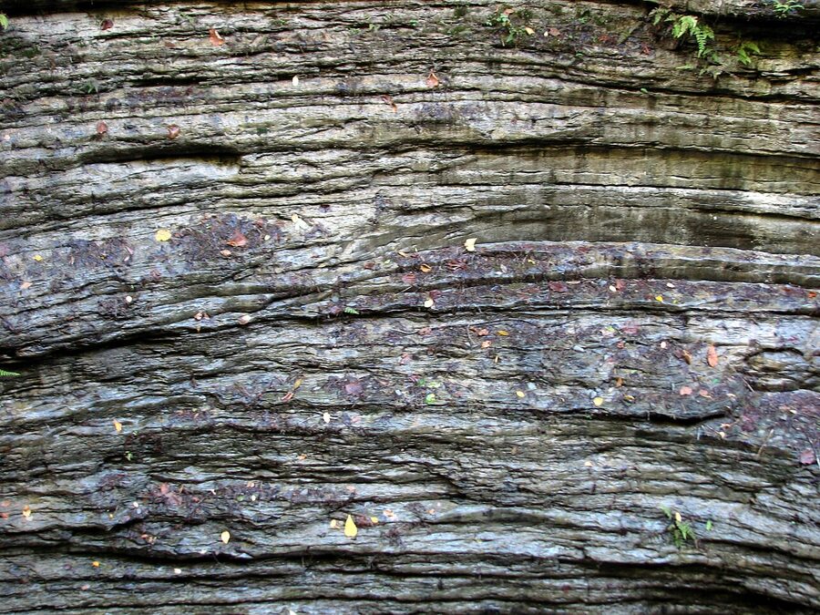 The carved gorge walls at Watkins Glen State Park