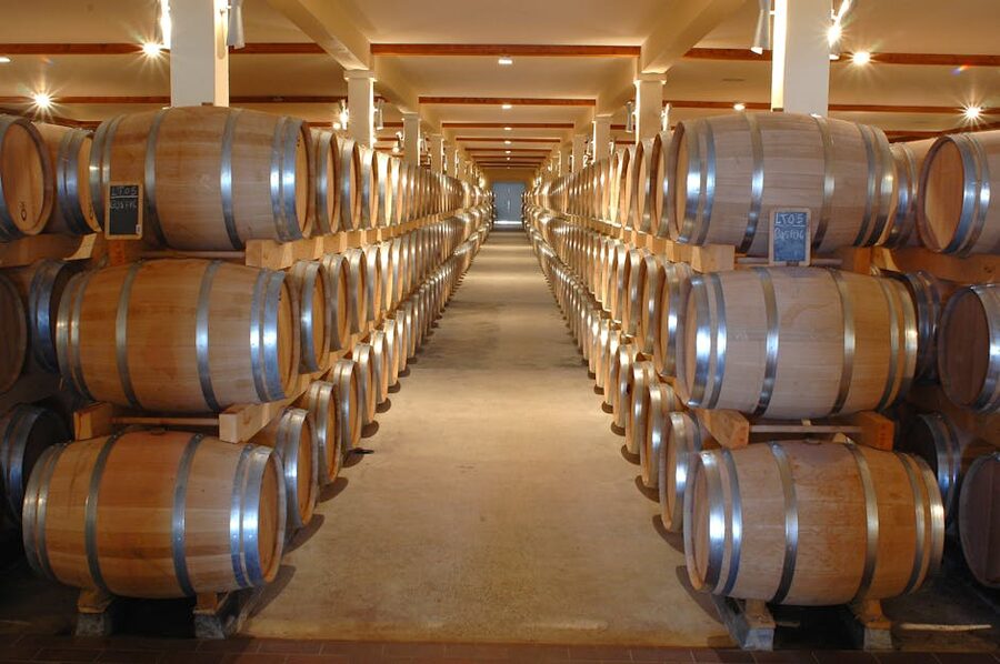Rows of oak barrels aging in a winery cellar
