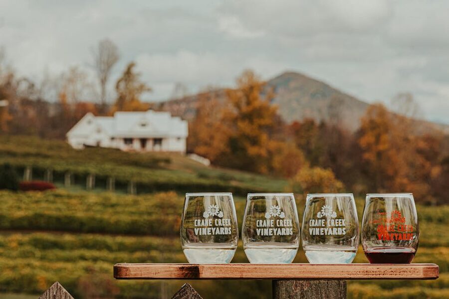 Crystal wine glasses on a wooden table at a winery