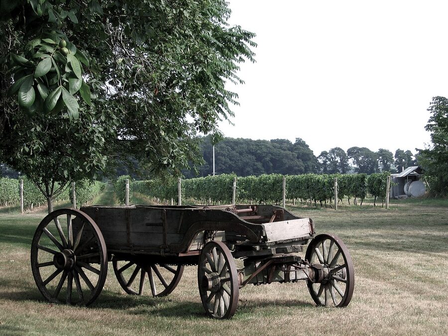 Decorative wagon at a Long Island vineyard