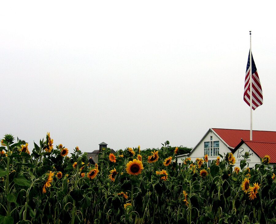 Pindar Vineyards on the North Fork of Long Island