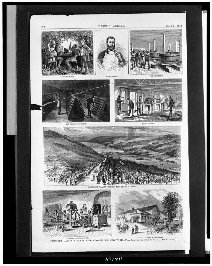 An 1872 sketch of Pleasant Valley vineyards near Hammondsport