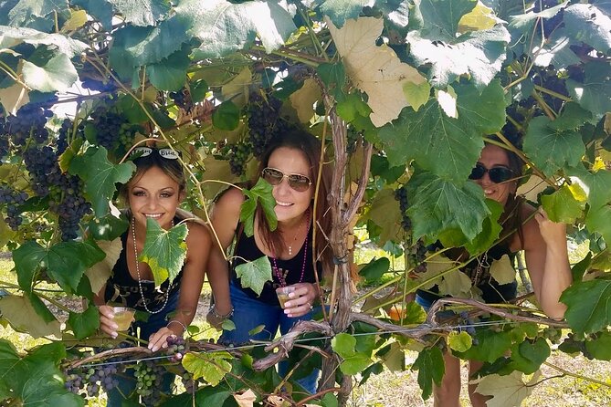 All Inclusive VIP Wine or Beer Tour in Hudson Valley - How the value compares with planning it yourself