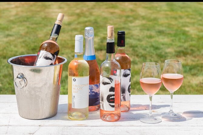 Full-Day Luxury Long Island Private Winery Tour - Leaving New York City for Long Island vineyards