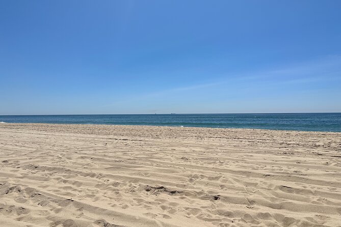 Full-Day Luxury Long Island Private Winery Tour - Weather, timing, and booking details that matter