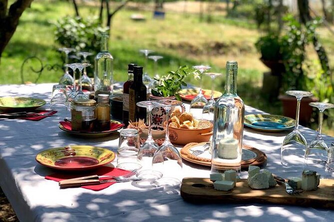 Full-Day Luxury Long Island Private Winery Tour - North Fork: a three-winery day with room to choose