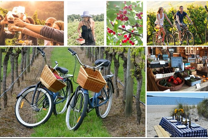 Guided Farm and Wine Country Bike Tour in Mattituck NY - Key Points to Know