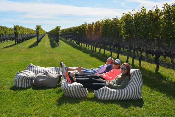 Guided Farm and Wine Country Bike Tour in Mattituck NY - Mattituck Vineyard: A Gentle First Stop