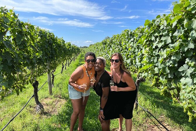 Long Island Wine and Food Day Trip with Sommelier host from NYC - Pellegrini Vineyards: modest setting, useful behind-the-scenes interest