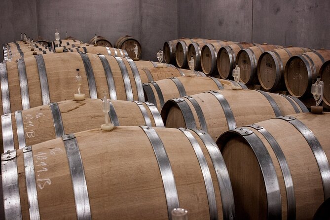 Long Island Wine Tour North Fork Sights, Bites & Flights Full-Day - Why this North Fork day feels different