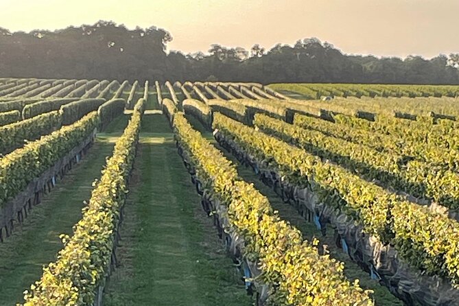 Long Island Wine Tour North Fork Sights, Bites & Flights Full-Day - The food and drink package adds real value