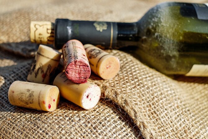 Long Island Wine Tour North Fork Sights Bites Flights Half Day AM - Key points to know before booking