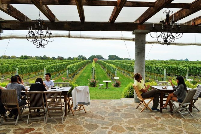 Long Island Winery Tour - Duck Walk Vineyards North: a second hour of local wine