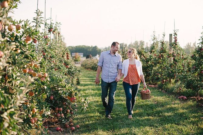 Mattituck Bike Wine Country and Fruit Orchard Tour - Farm stand food, cider, and the orchard