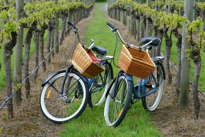 Mattituck New York Guided Farm and Wine Country Bike Tour - Key points to know before you book
