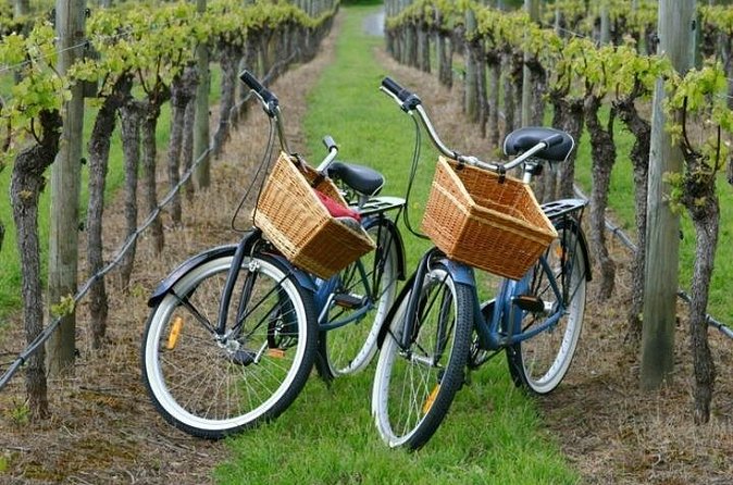 Mattituck New York Guided Farm and Wine Country Bike Tour - A longtime farm stand and North Fork flavors